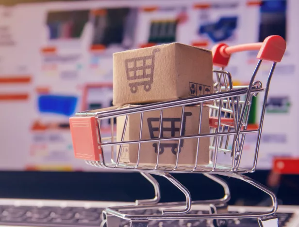 E-Ticaret Çözümleri